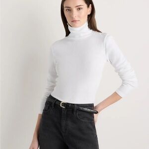 Quince Microrib Turtleneck